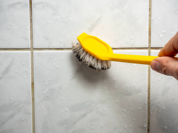 Best Mold Cleaning Services  in Montezuma, GA