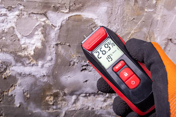 Best Mold Removal Specialists  in Montezuma, GA