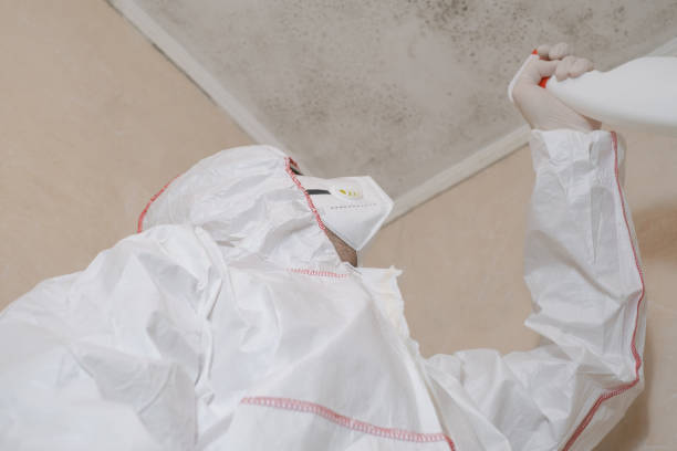 Best Home Mold Removal  in Montezuma, GA