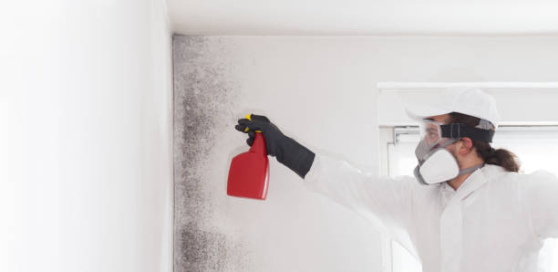 Best Mold Damage Repair  in Montezuma, GA