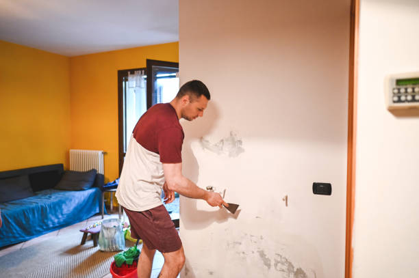 Best Commercial Mold Removal  in Montezuma, GA