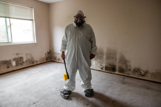 Best Mold Testing  in Montezuma, GA